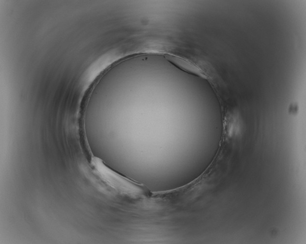 X0000110970292200907022252