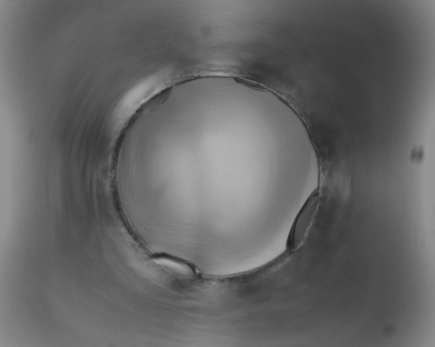 X0000110970293200907022252