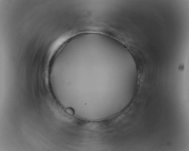 X0000110970294200907022252