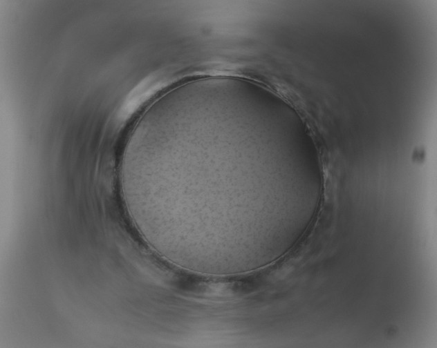 X0000110970295200907022252