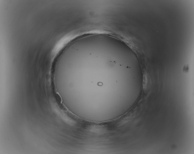 X0000110970296200907022252