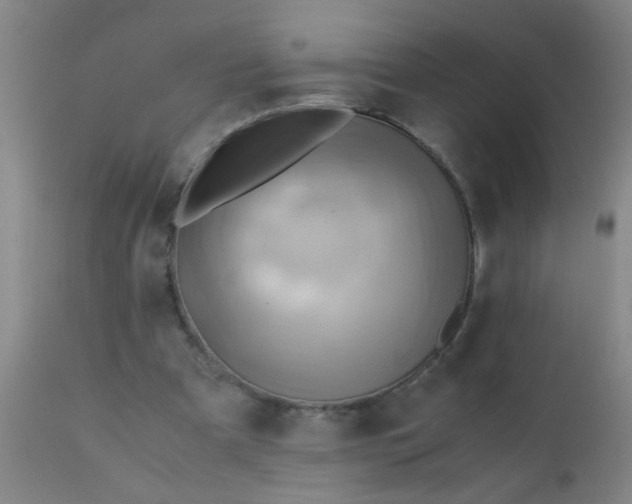 X0000110970297200907022252