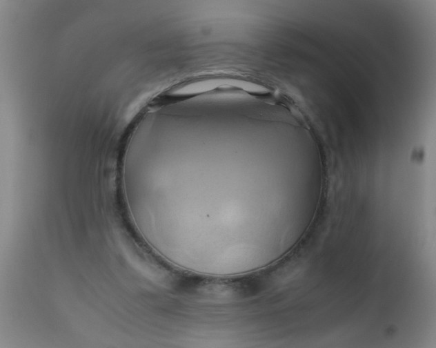 X0000110970299200907022252