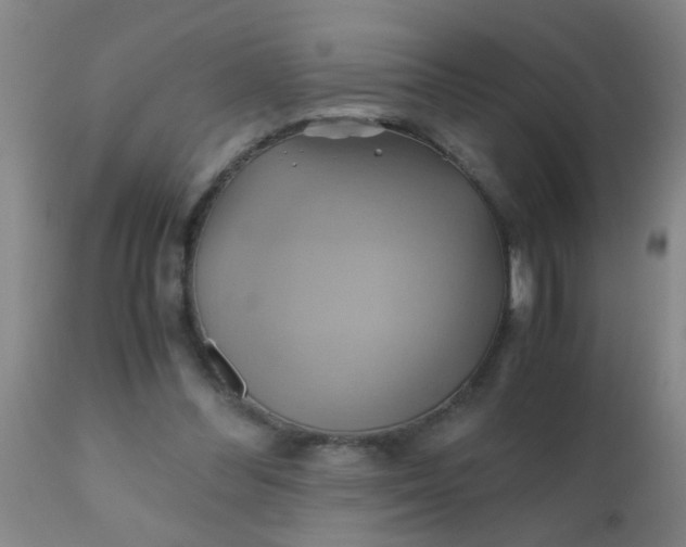 X0000110970300200907022252