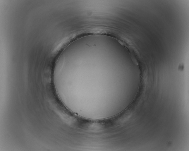 X0000110970303200907022252