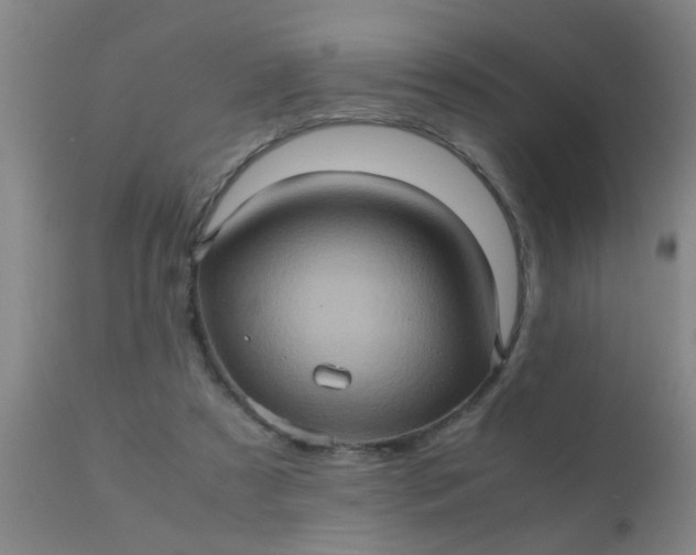 X0000110970305200907022252