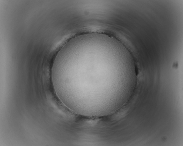 X0000110970306200907022252