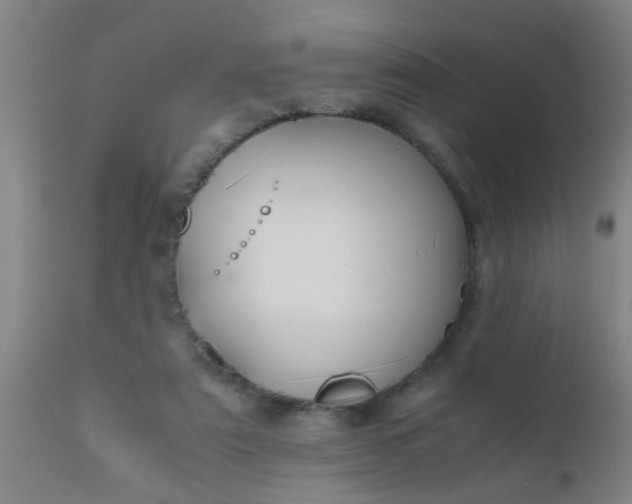 X0000110970307200907022252