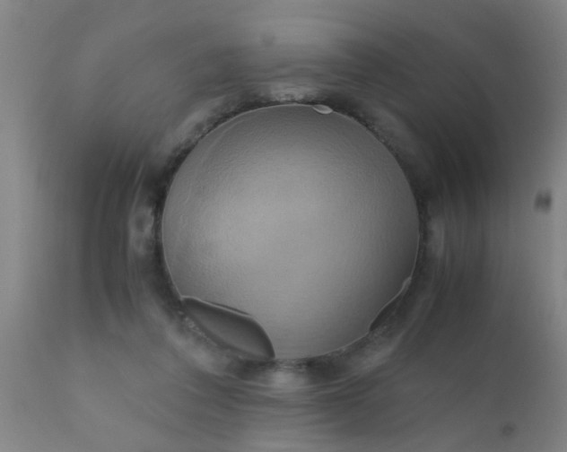 X0000110970308200907022252