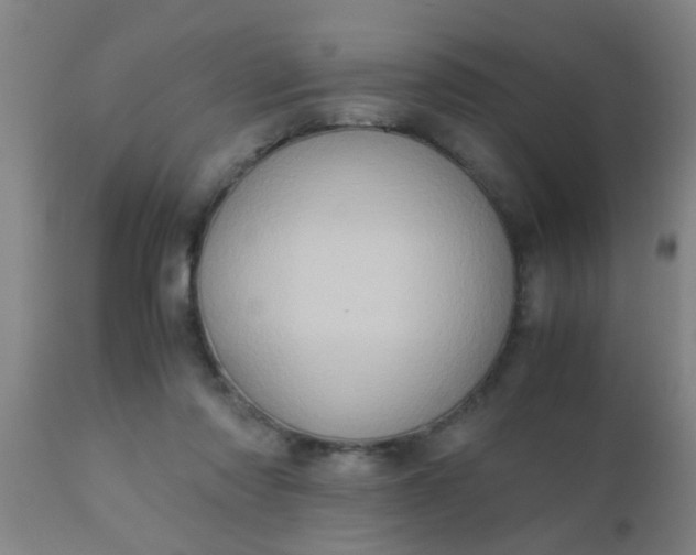 X0000110970310200907022252