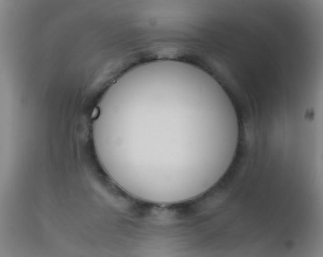 X0000110970311200907022252