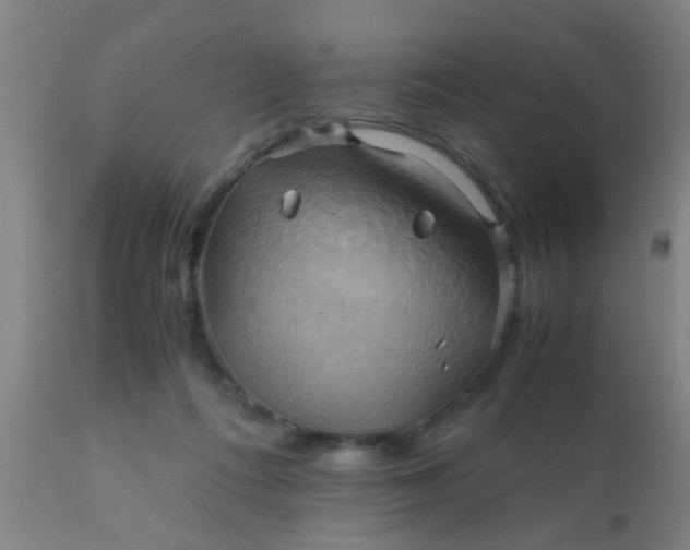 X0000110970312200907022252