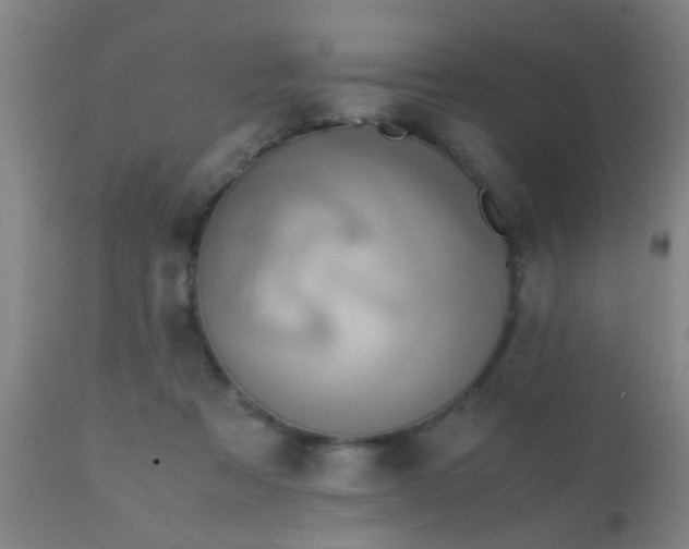 X0000110970313200907022252