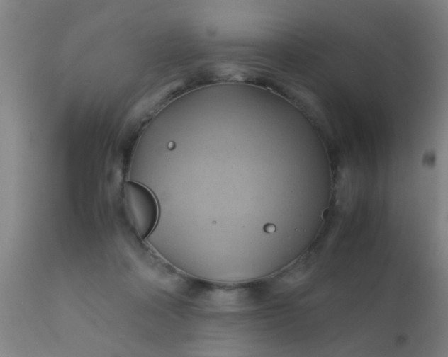 X0000110970314200907022252