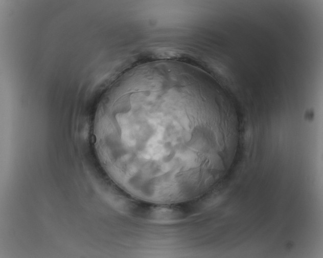 X0000110970315200907022252