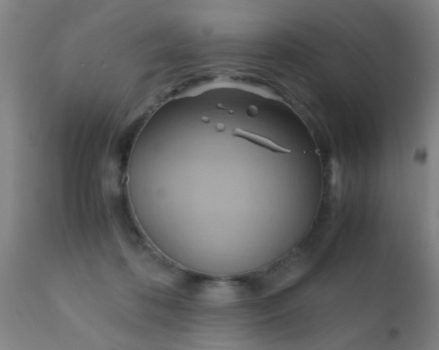 X0000110970316200907022251