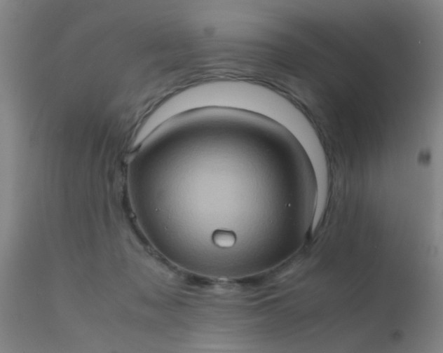 X0000110970317200907022251