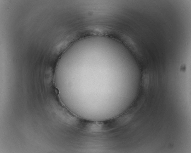 X0000110970318200907022251