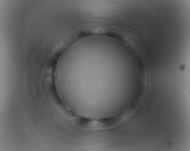 X0000110970319200907022251