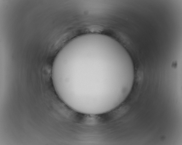 X0000110970321200907022251