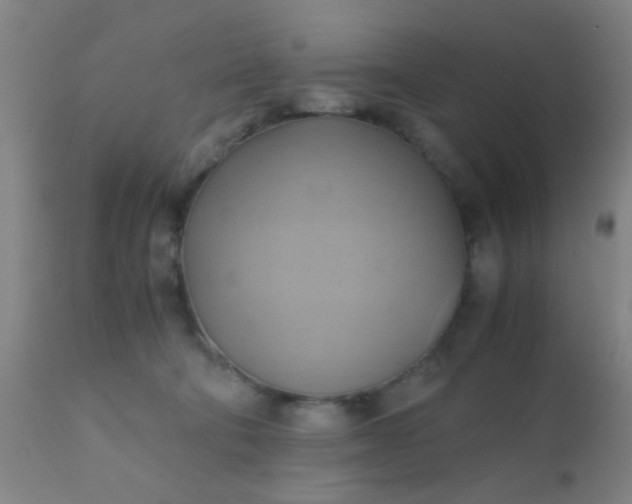 X0000110970322200907022251