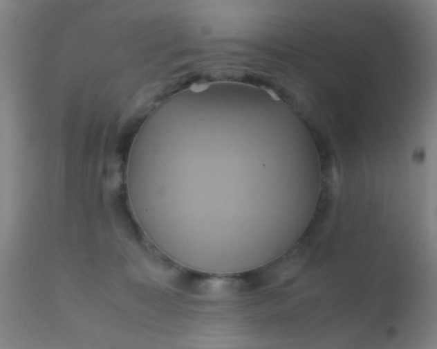 X0000110970323200907022251