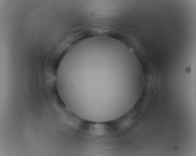 X0000110970324200907022251