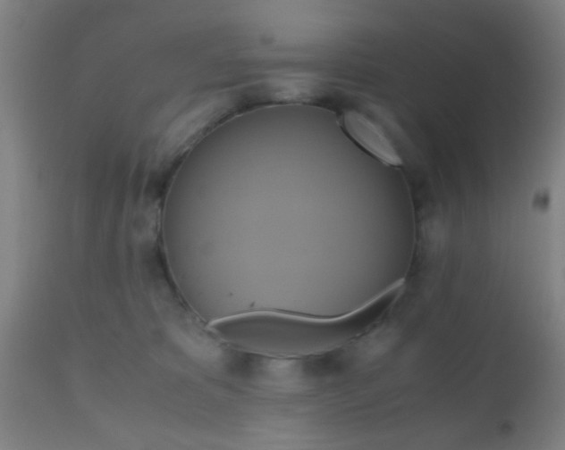 X0000110970325200907022251