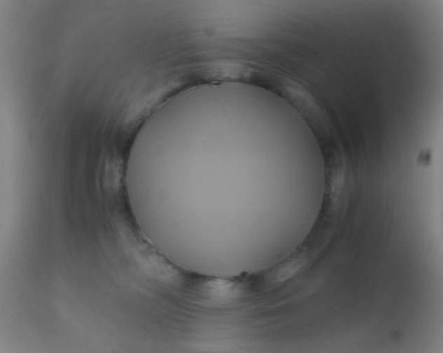 X0000110970326200907022251