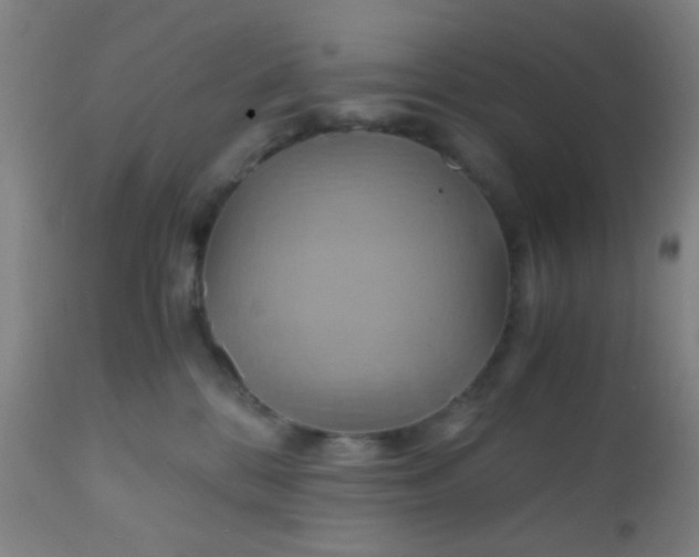 X0000110970328200907022251