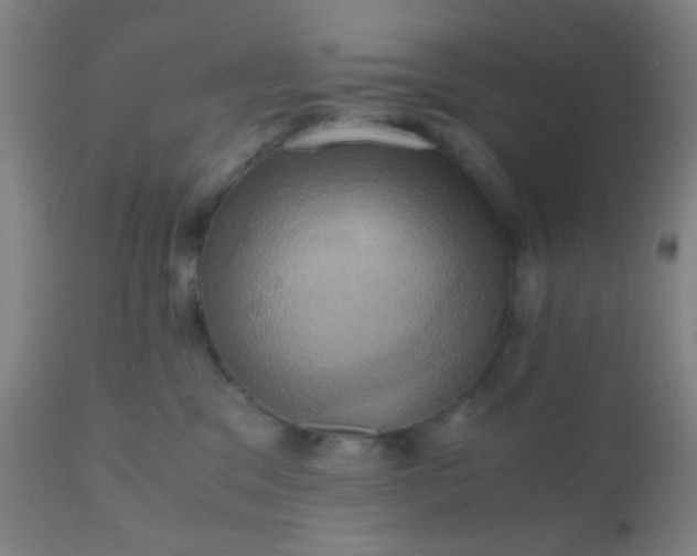 X0000110970329200907022251