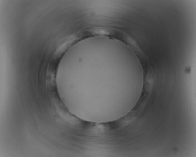 X0000110970330200907022251