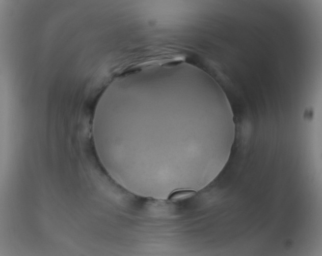 X0000110970331200907022251