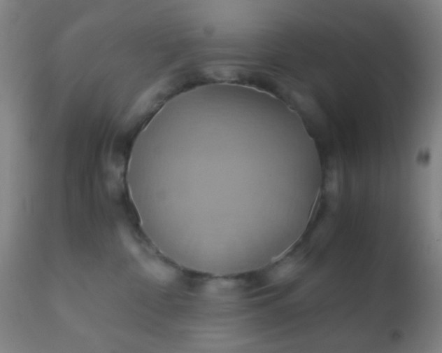 X0000110970332200907022251