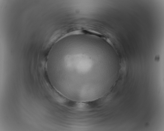 X0000110970333200907022251