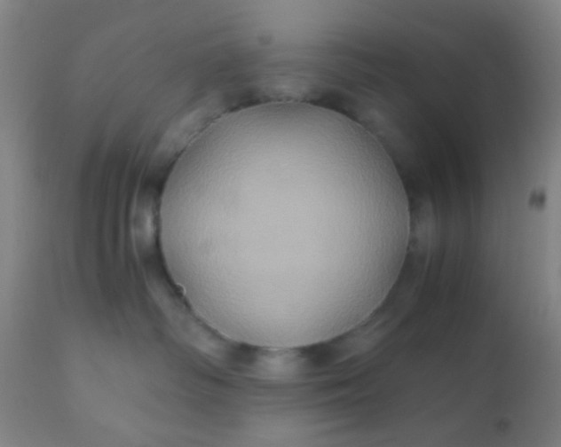 X0000110970334200907022251