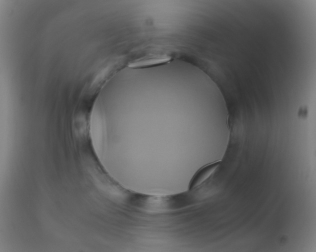 X0000110970335200907022251