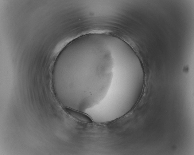 X0000110970337200907022250