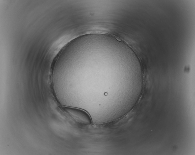 X0000110970338200907022250