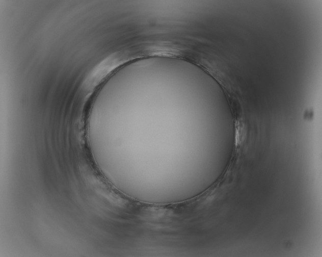 X0000110970339200907022250