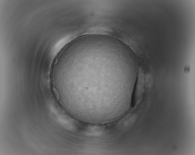 X0000110970340200907022250