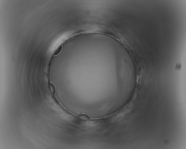 X0000110970341200907022250