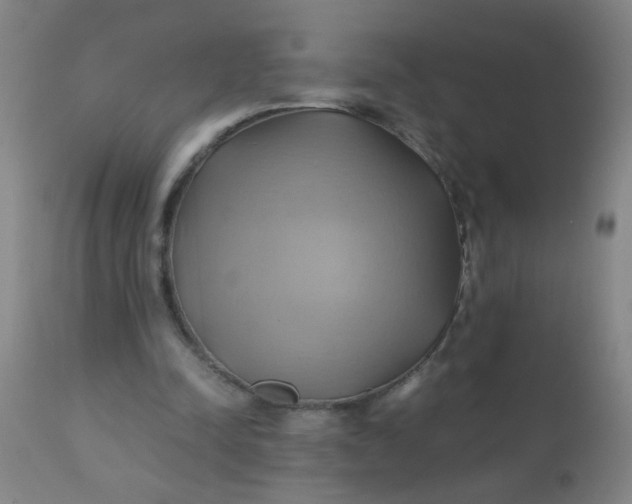 X0000110970342200907022250