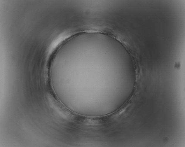 X0000110970343200907022250