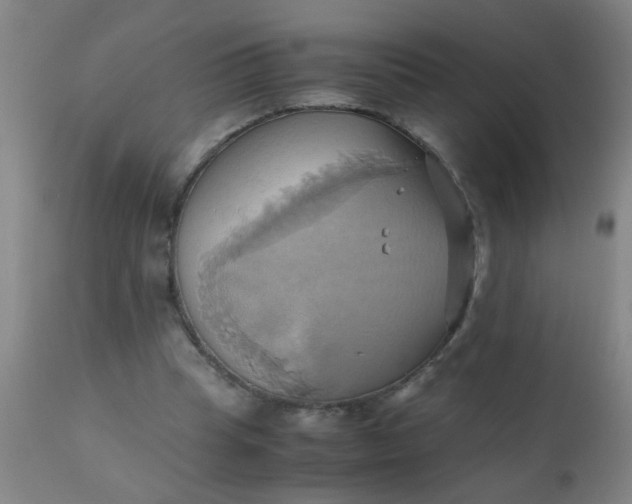 X0000110970345200907022250