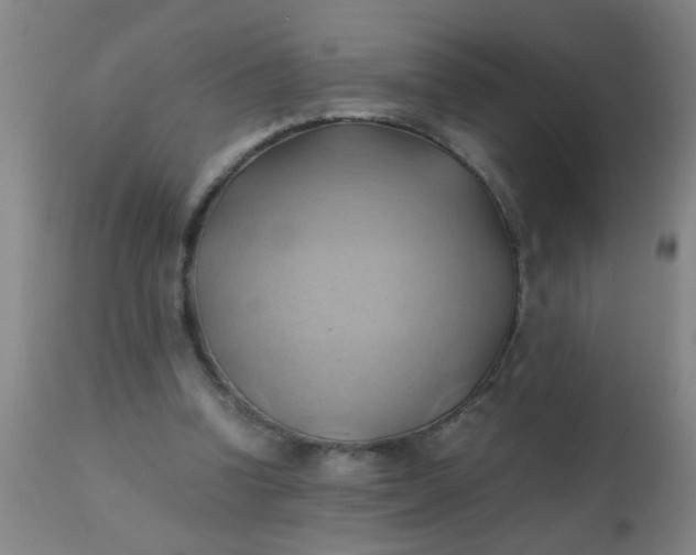 X0000110970346200907022250