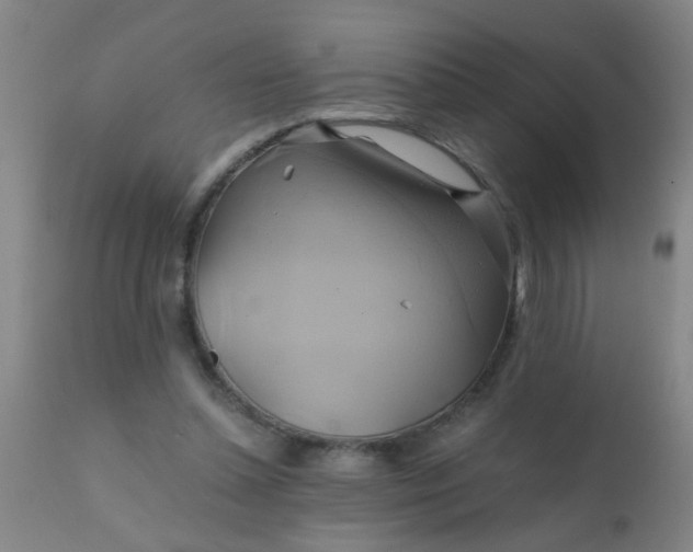 X0000110970348200907022250