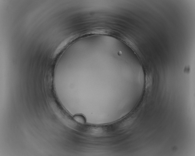 X0000110970349200907022250