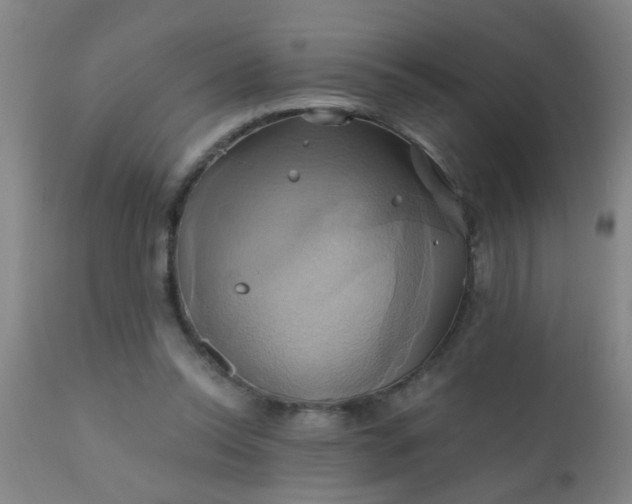 X0000110970350200907022250