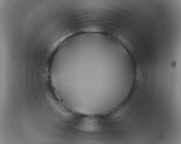 X0000110970351200907022250